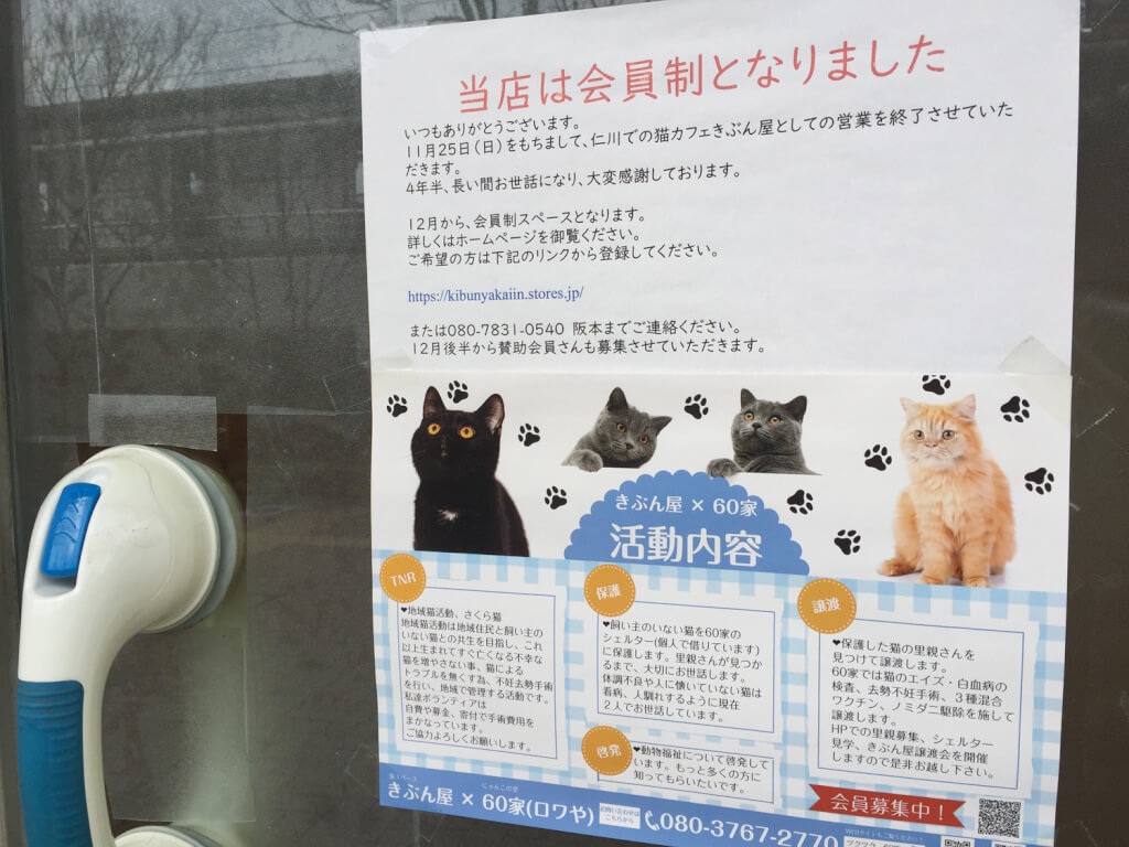 宝塚市 あの閉店した猫カフェの現在 月末の日曜日に猫の譲渡会が開催されているようです 号外net 宝塚市 川西市