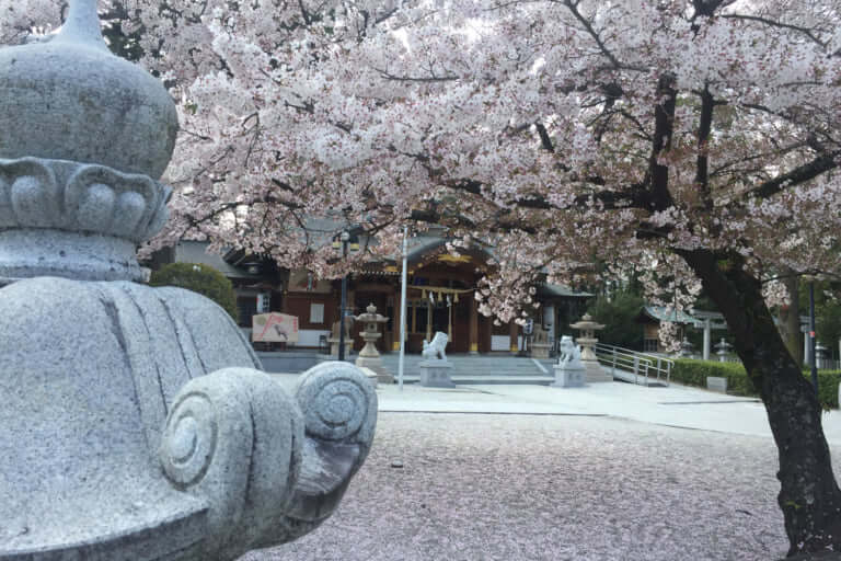 伊和志津神社と桜