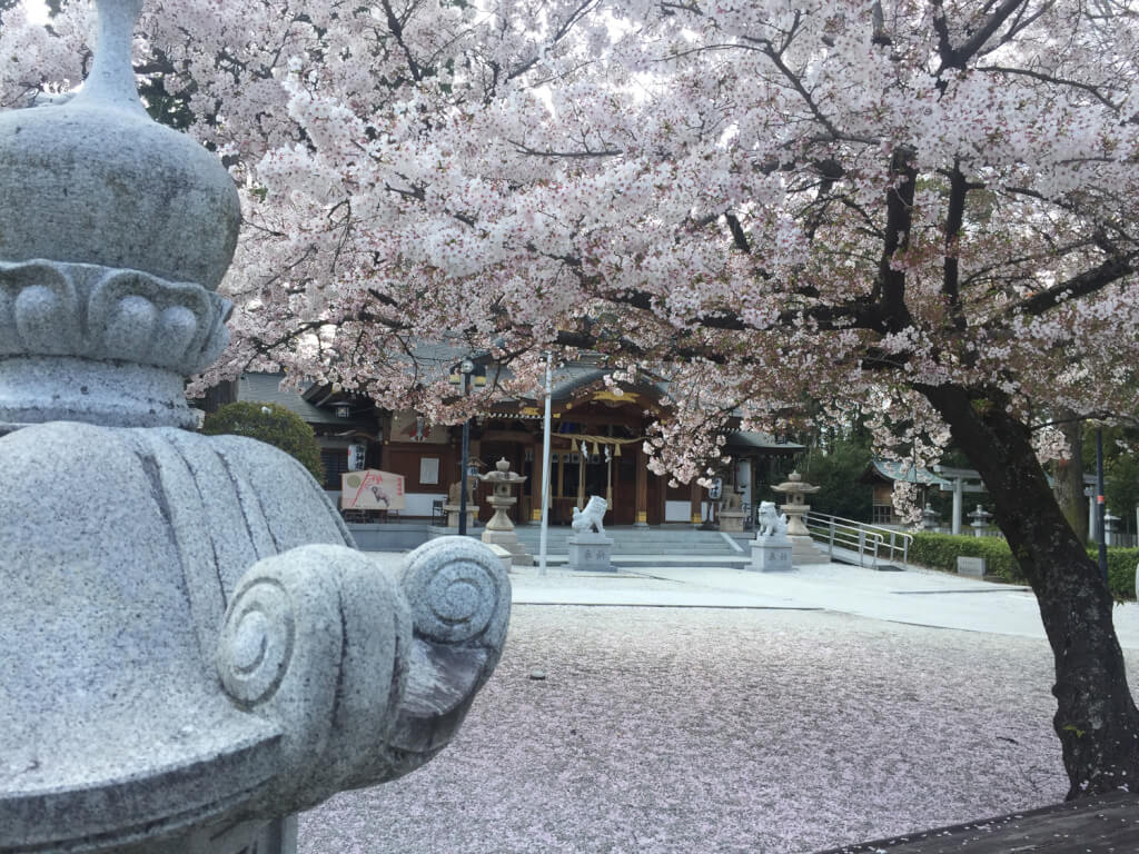 伊和志津神社と桜