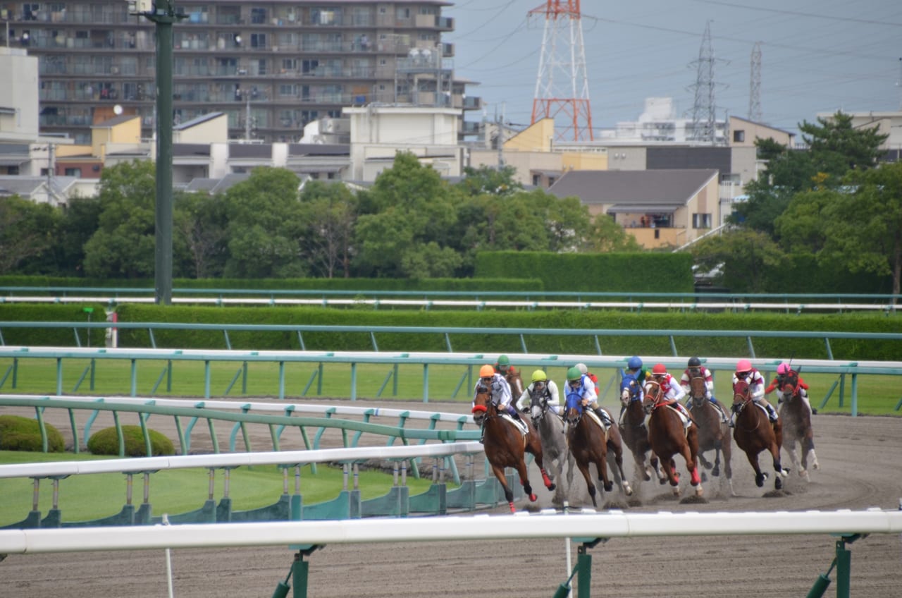 阪神競馬場イメージ