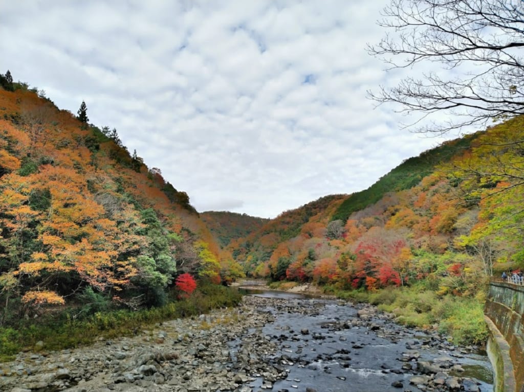 武田尾渓谷の紅葉