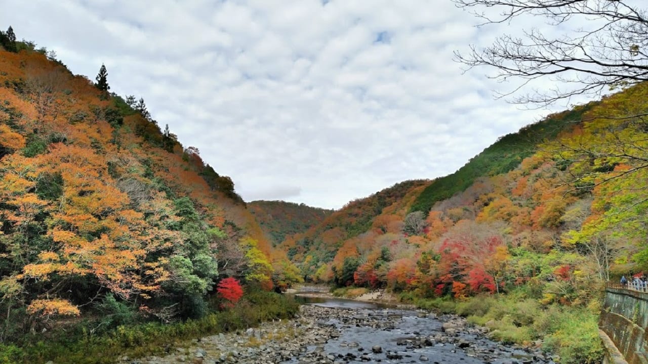 武田尾渓谷の紅葉