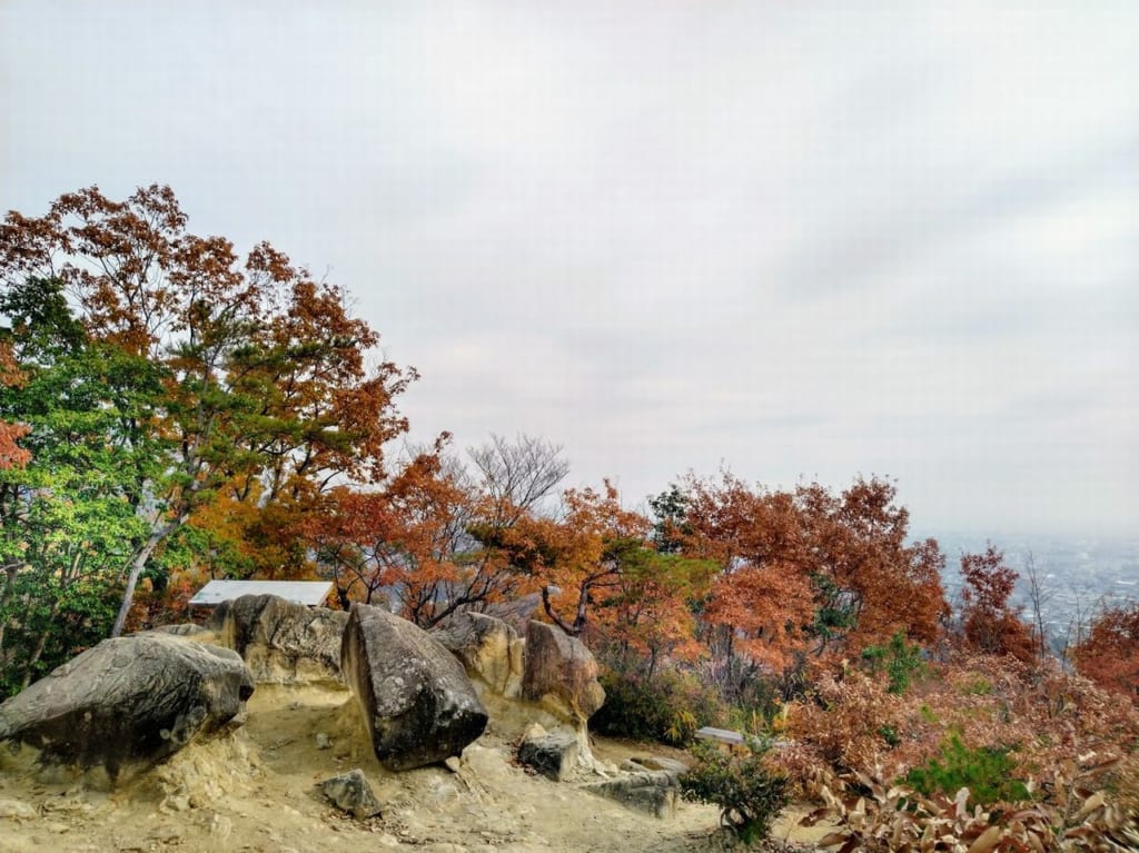夫婦岩園地から東方向を見た様子