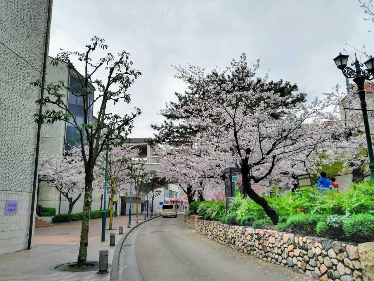 花のみちは武庫川の堤防跡です