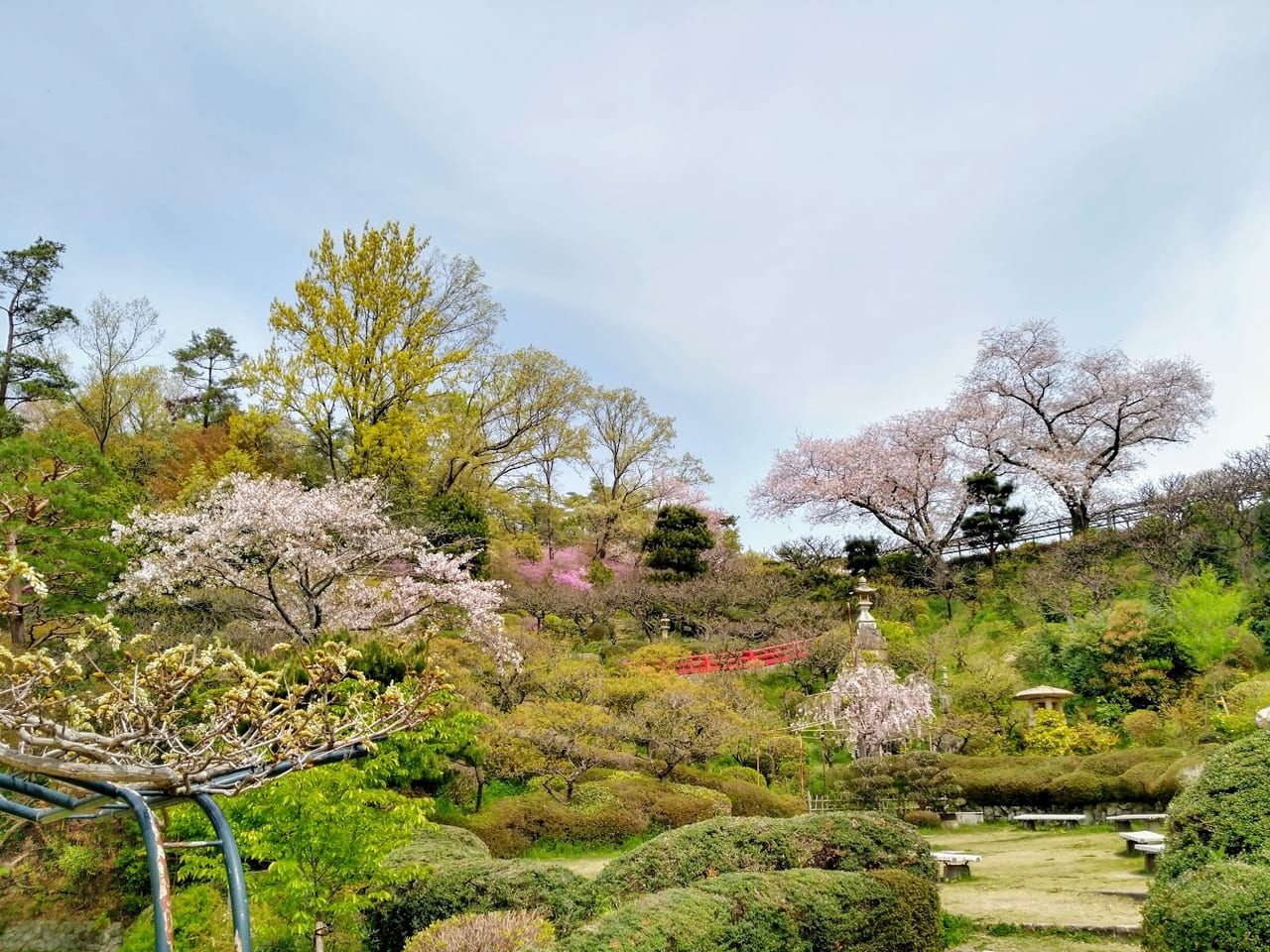 宝塚市 中山寺の梅園は梅の花が終わってもいろんな花が次々咲きます 今行けなくてもどのシーズンも楽しめます 号外net 宝塚市 川西市