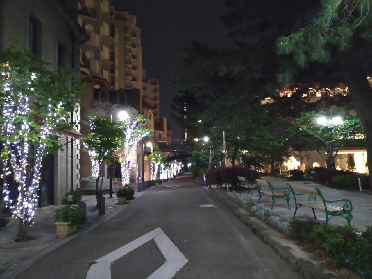 宝塚市 夜の 花のみち がまさかの煌 きら びやかさ 新型コロナ収束後の希望をあらわすような光でした 号外net 宝塚市 川西市