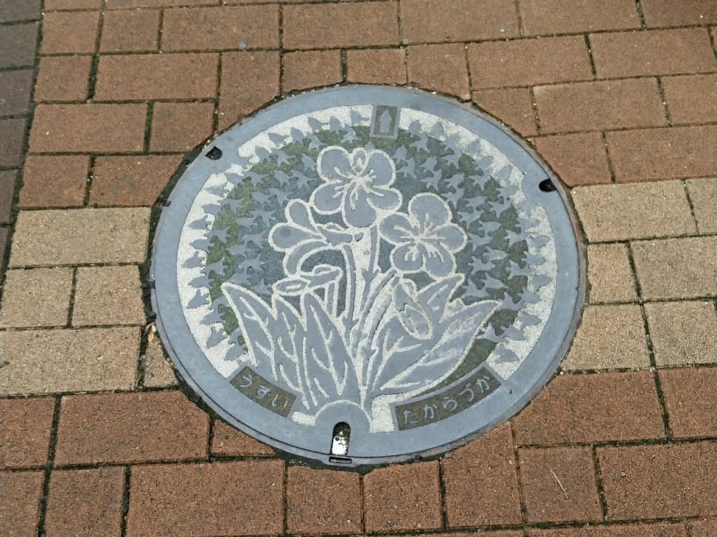 宝塚市マンホールカラーバージョン
