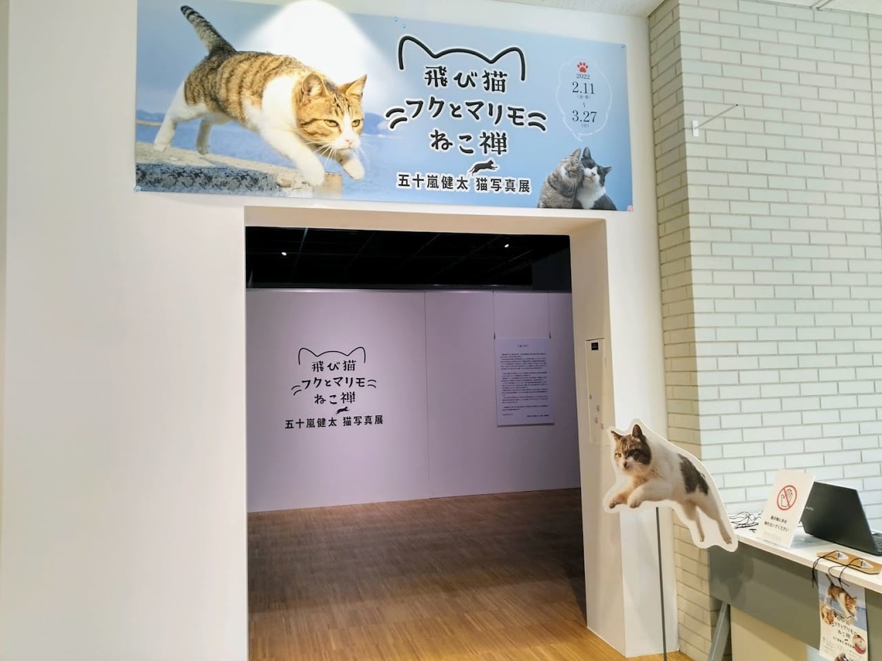 宝塚市立文化芸術センターにて五十嵐健太 猫写真展