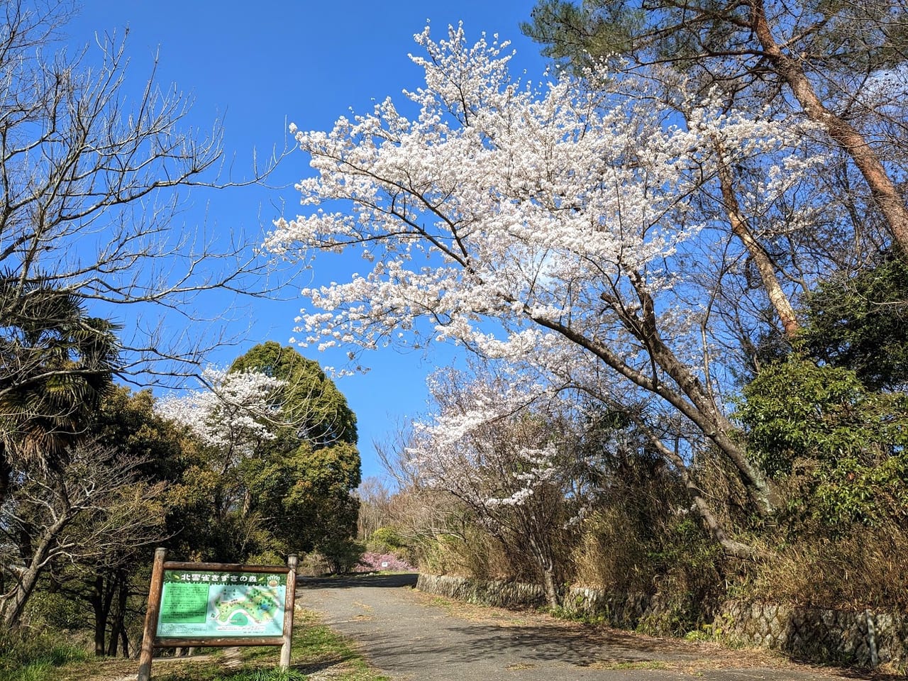 北雲雀きずきの森花屋敷荘園入口