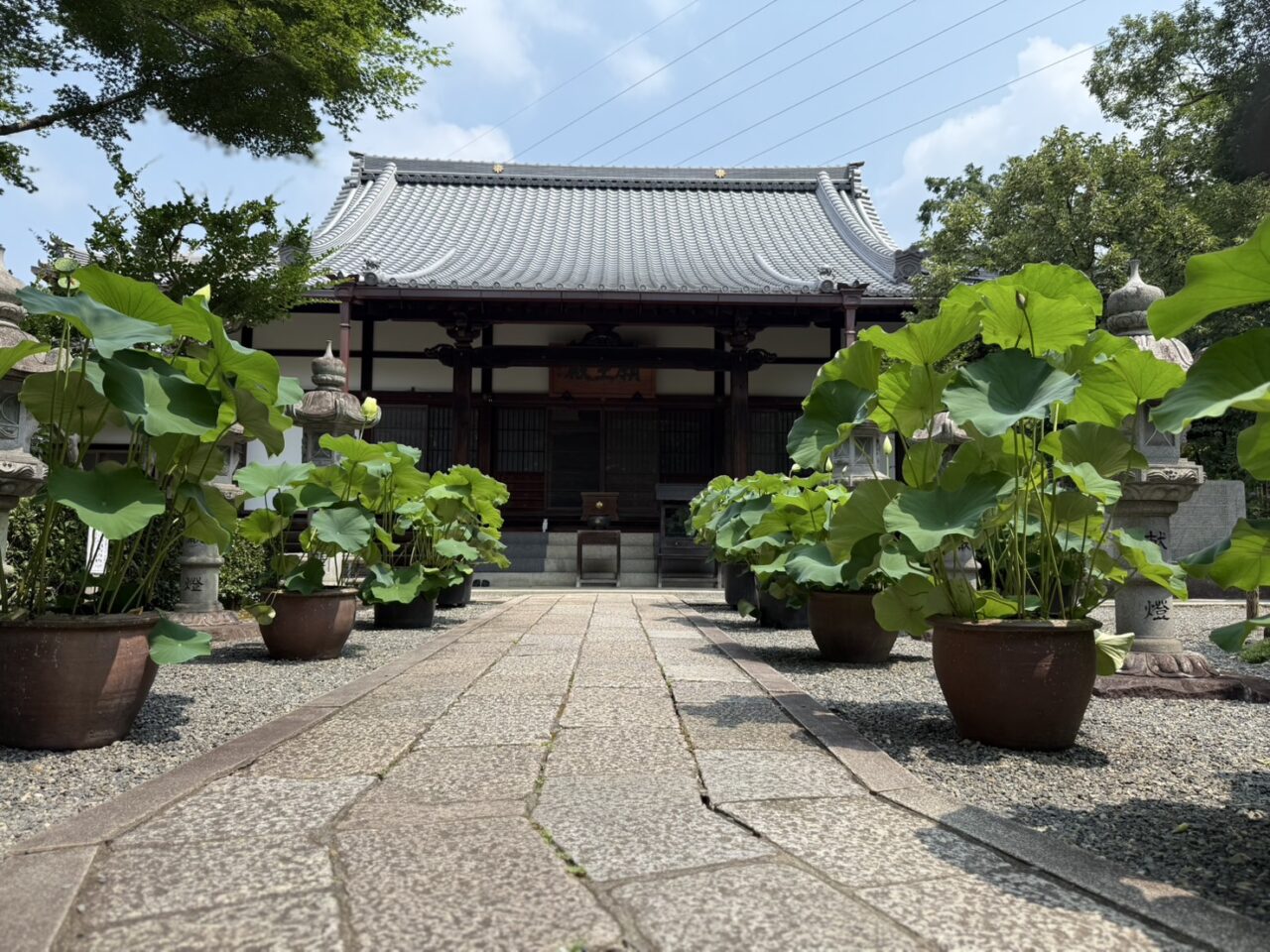 頼光寺参道