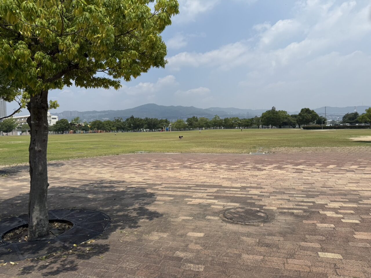 人がいない末広中央公園