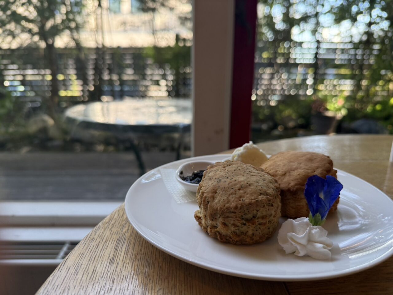 カフェレオンの窓からの景色