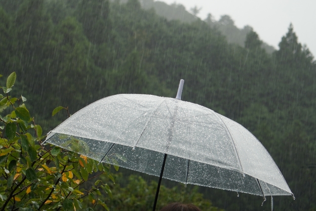 雨