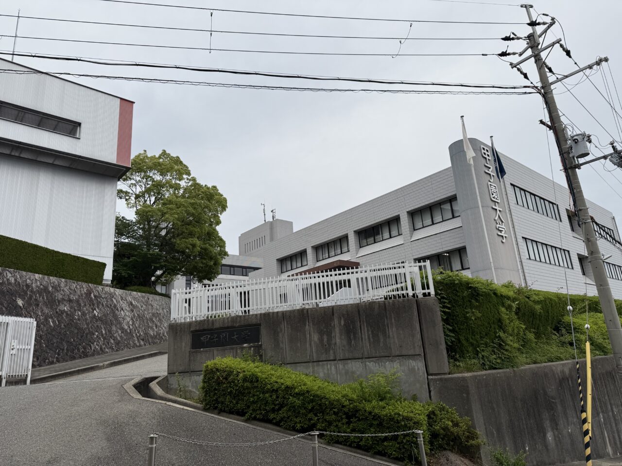 甲子園大学