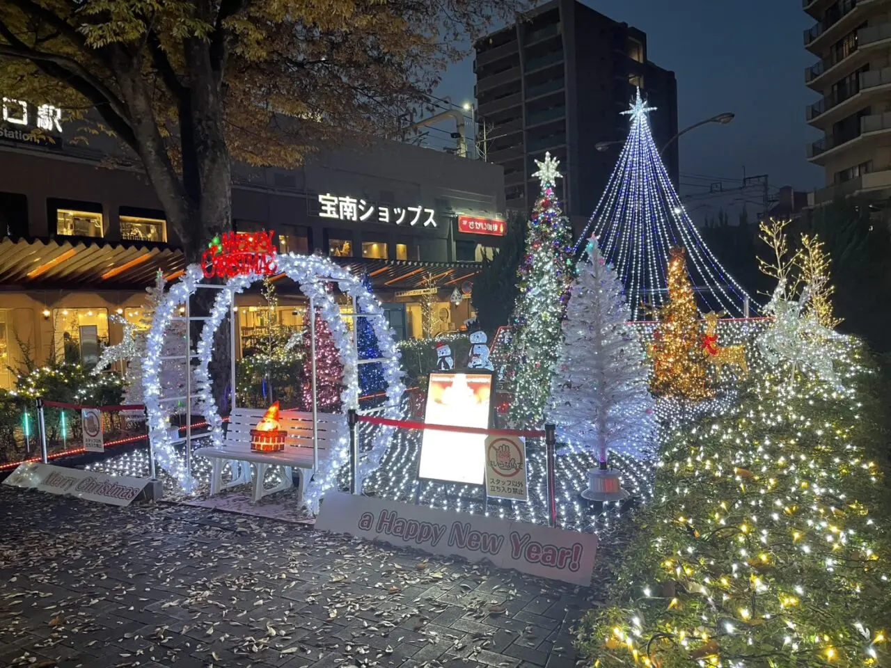 イルミネーション