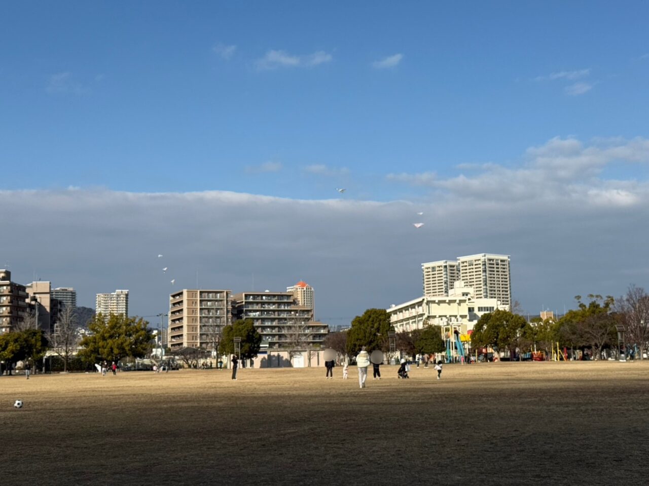 凧揚げで盛り上がる末広中央公園