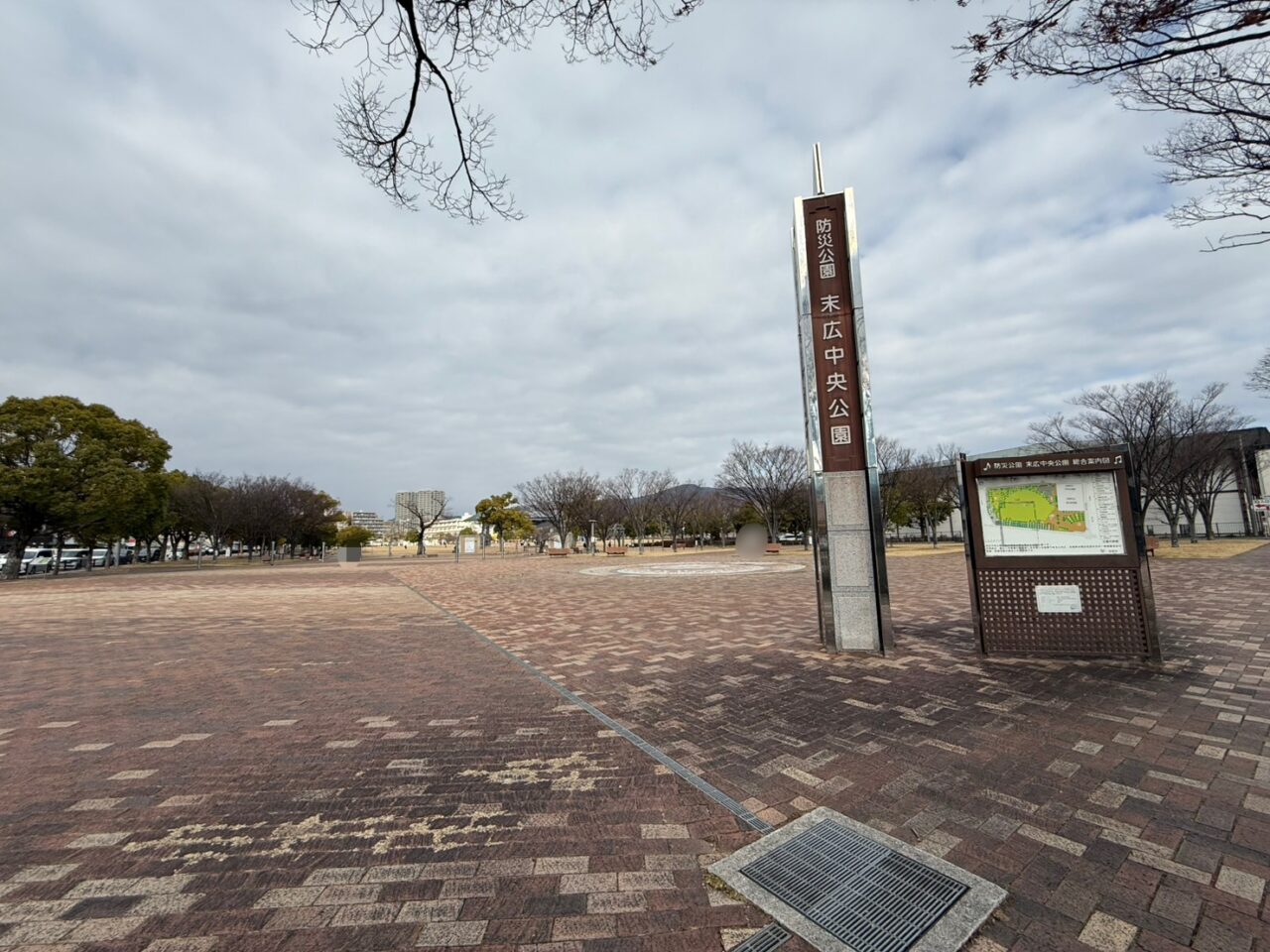 冬の末広中央公園