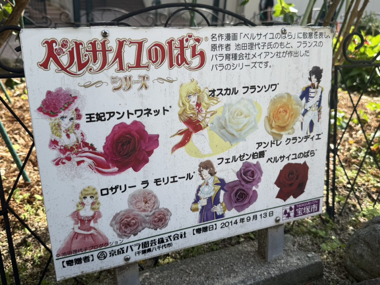 ベルばらのバラ